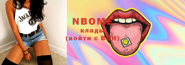 твердый Надым