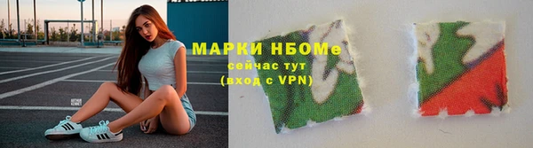 твердый Надым