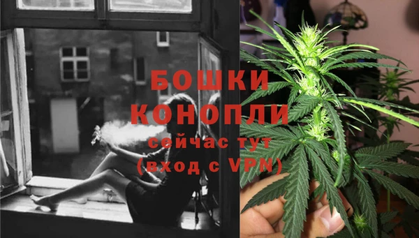 ECSTASY Богородицк