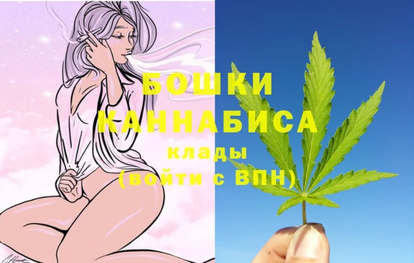 гидропоника Нея