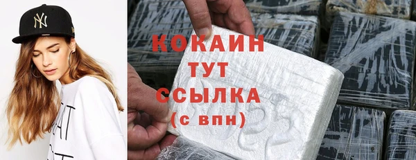 твердый Надым