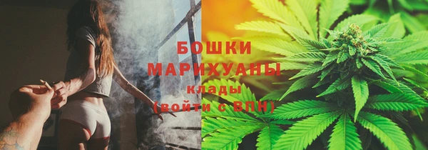 ECSTASY Богородицк