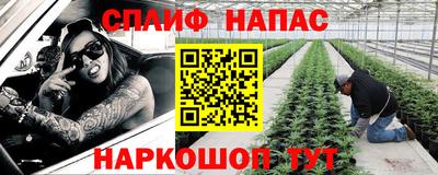 хмурый Дубна