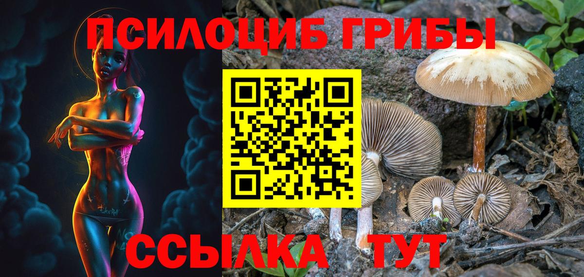 Надым  Псилоцибиновые грибы мицелий  Вход с VPN  Псилоцибиновые грибы мухоморы 